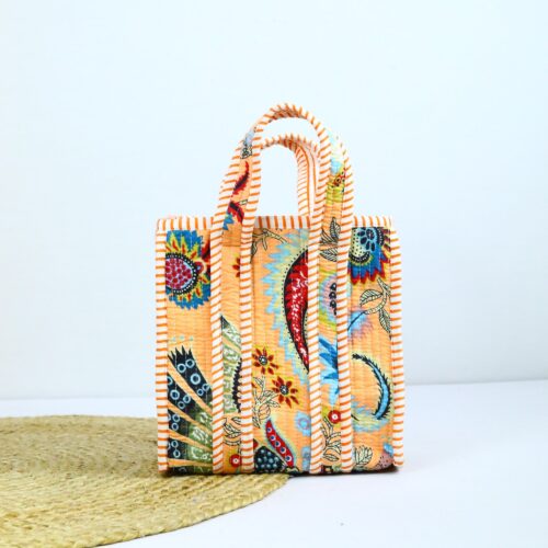 Campus Bite Lunch Box In Peach & Multicolor